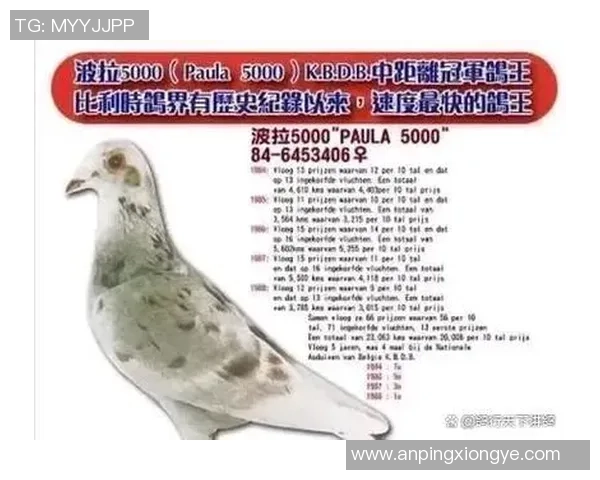 足坛巨星名字背后的故事与传奇生涯全景解读